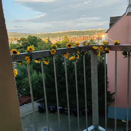 Z-C Apart 40-99 Appartement Goltsch Jenikau